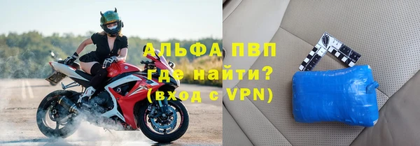 гашик Арсеньев