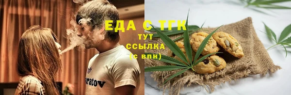 гашик Арсеньев