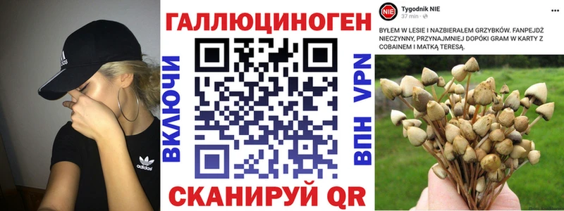 Галлюциногенные грибы мицелий  Верея 